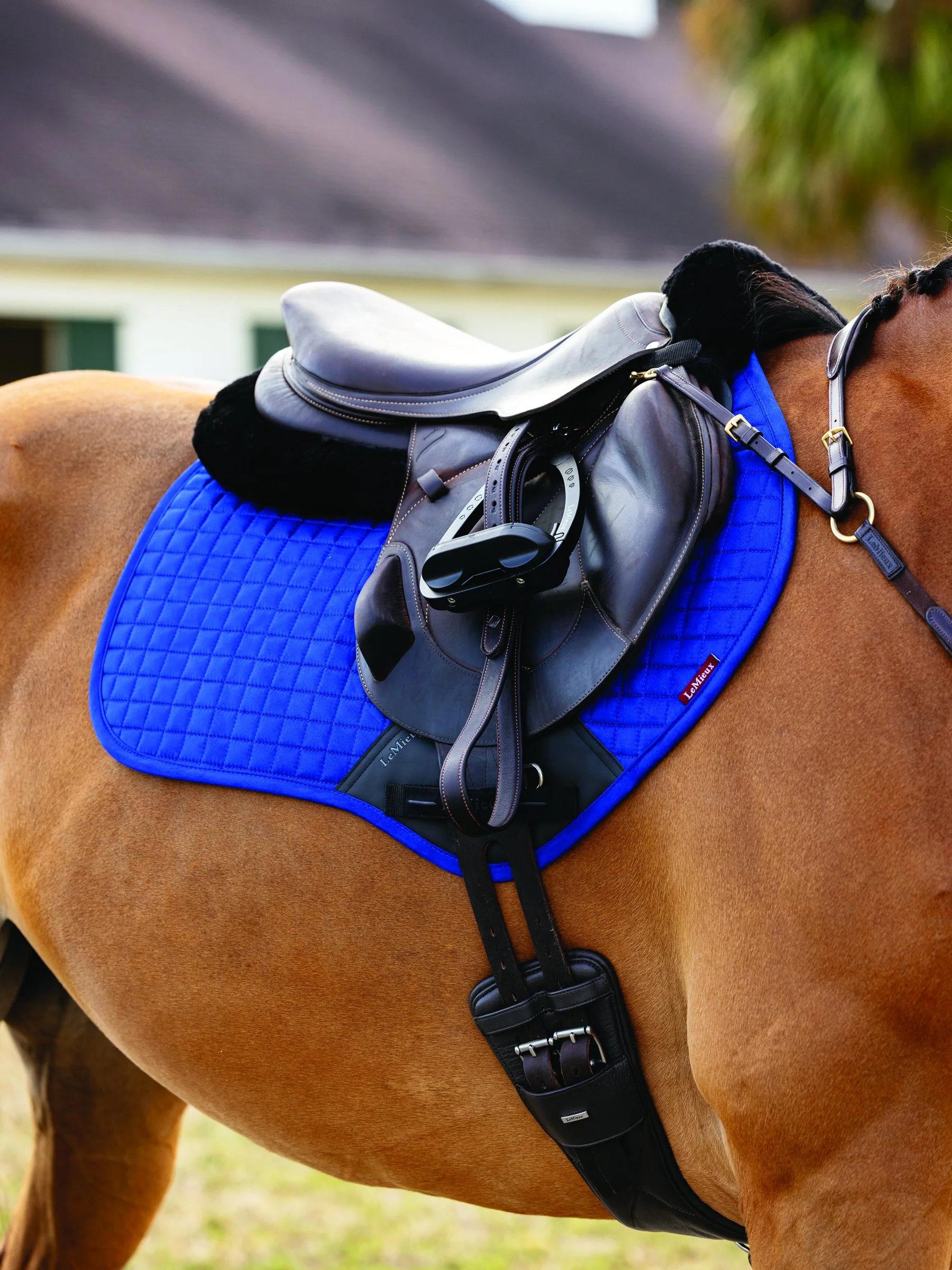 LeMieux® Suede Close Contact Saddle Pad - Image 6