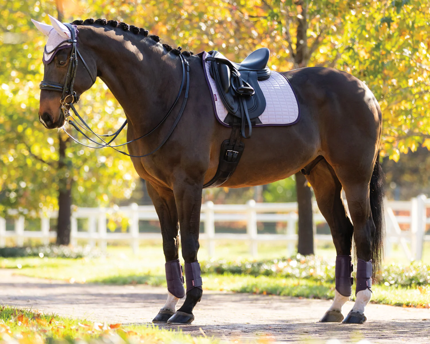 LeMieux® Suede Dressage Saddle Pad - Image 10