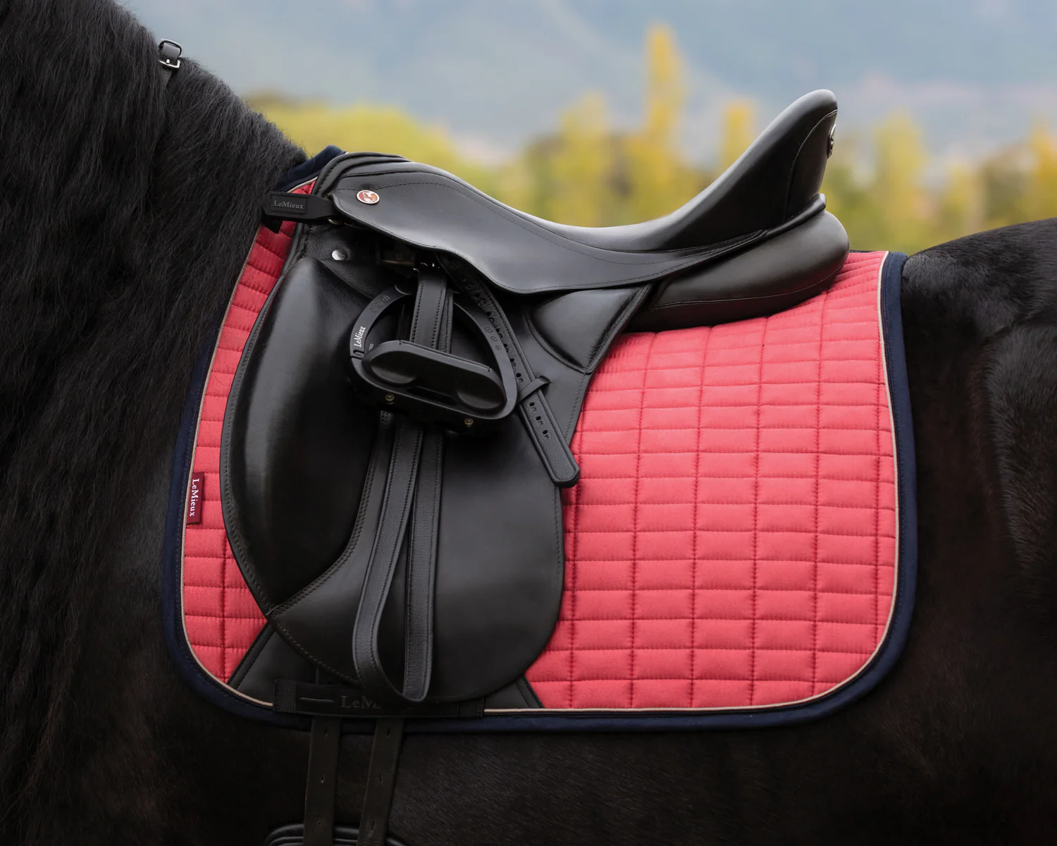 LeMieux® Suede Dressage Saddle Pad - Image 7