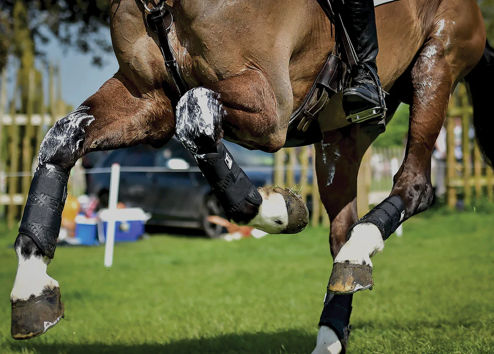 Majyk Equipe® XC Elite Hind Boot with Arti-Lage™ Technology - Image 4