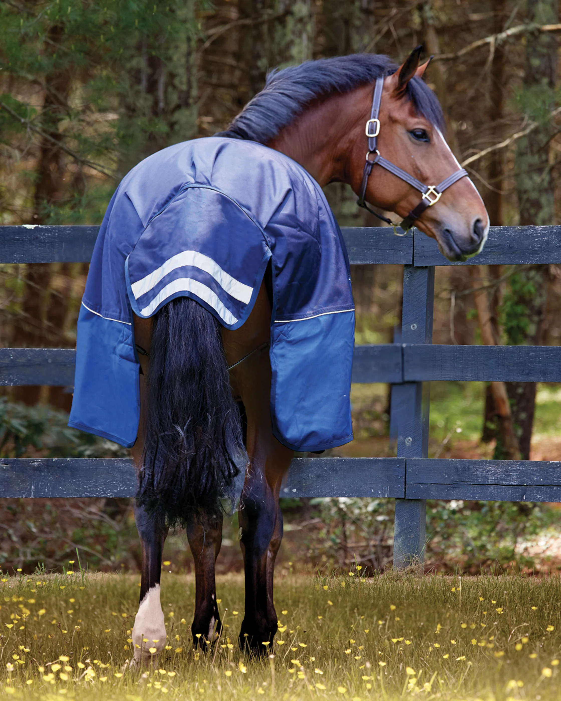 NorthWind™ Medium-Weight Turnout Blanket - Image 5