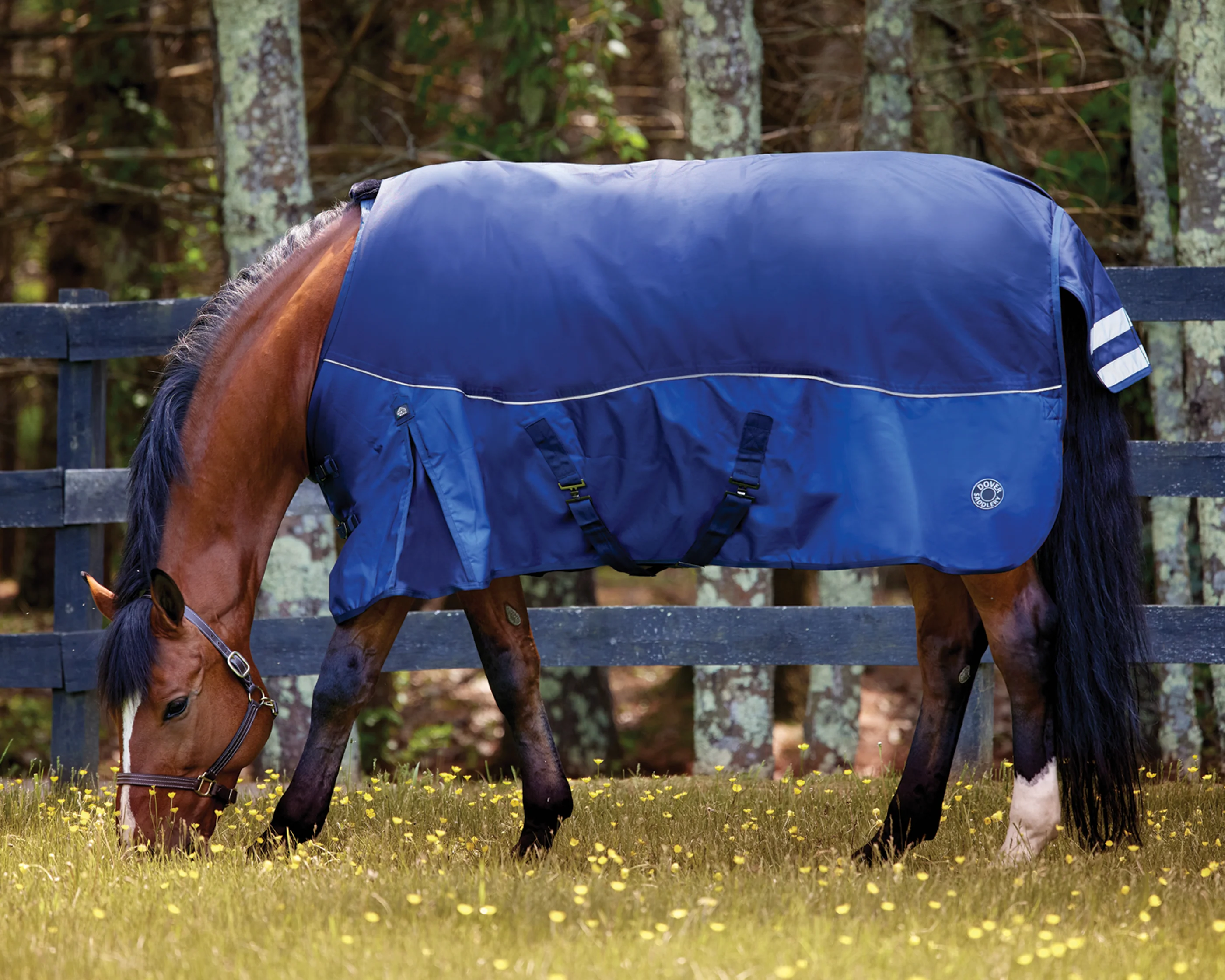 NorthWind™ Medium-Weight Turnout Blanket - Image 6