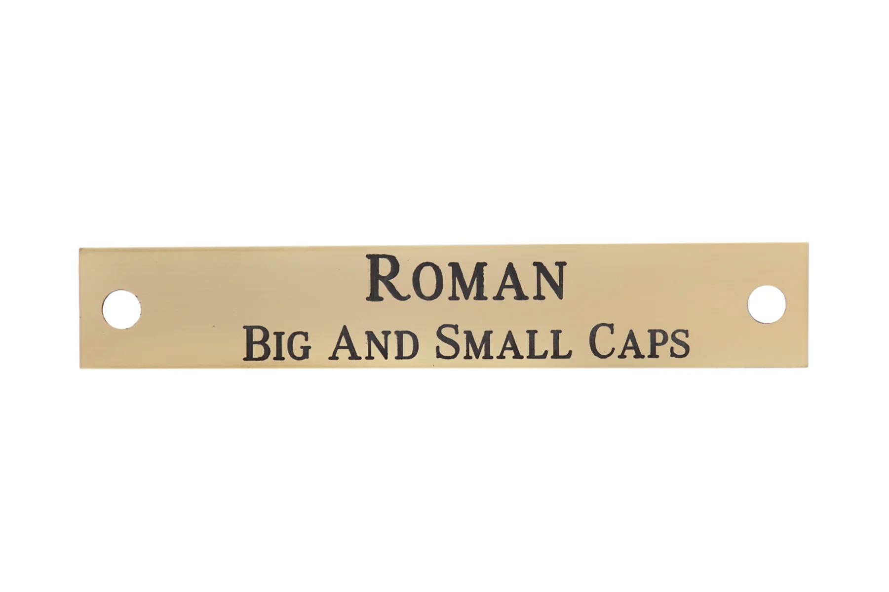 Notched Corner Halter Nameplate - 3 lines - Image 4