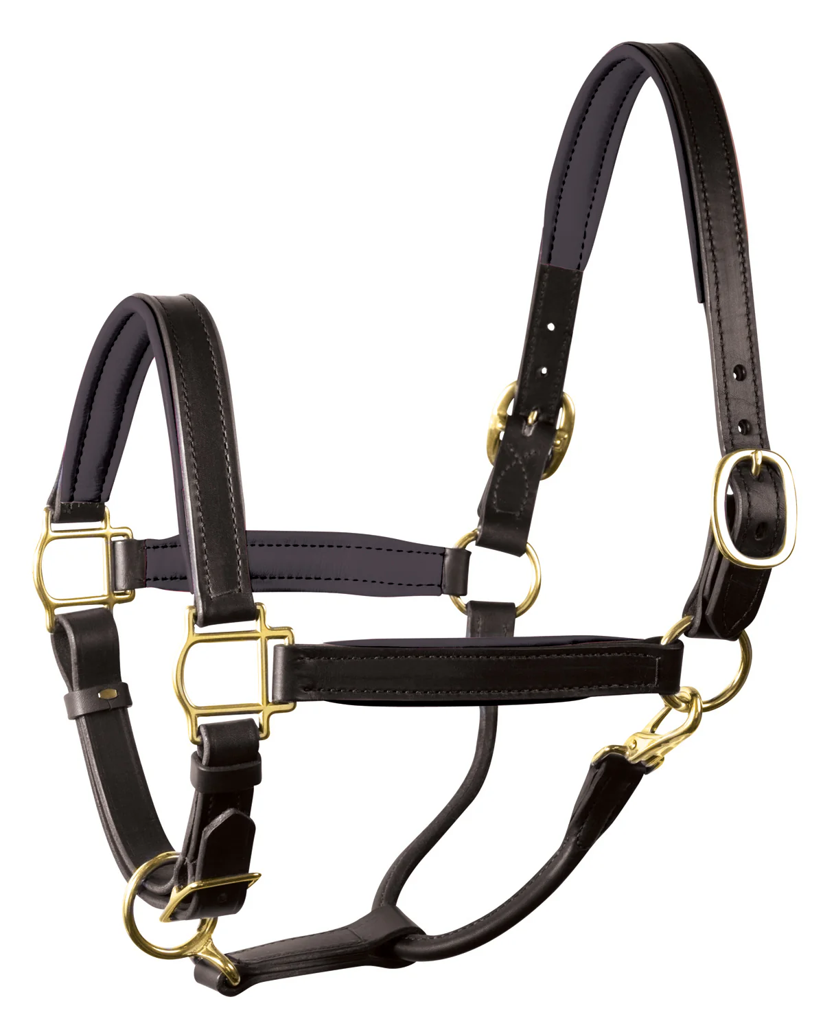 Perri’s® 1" Padded Leather Halter - Image 19