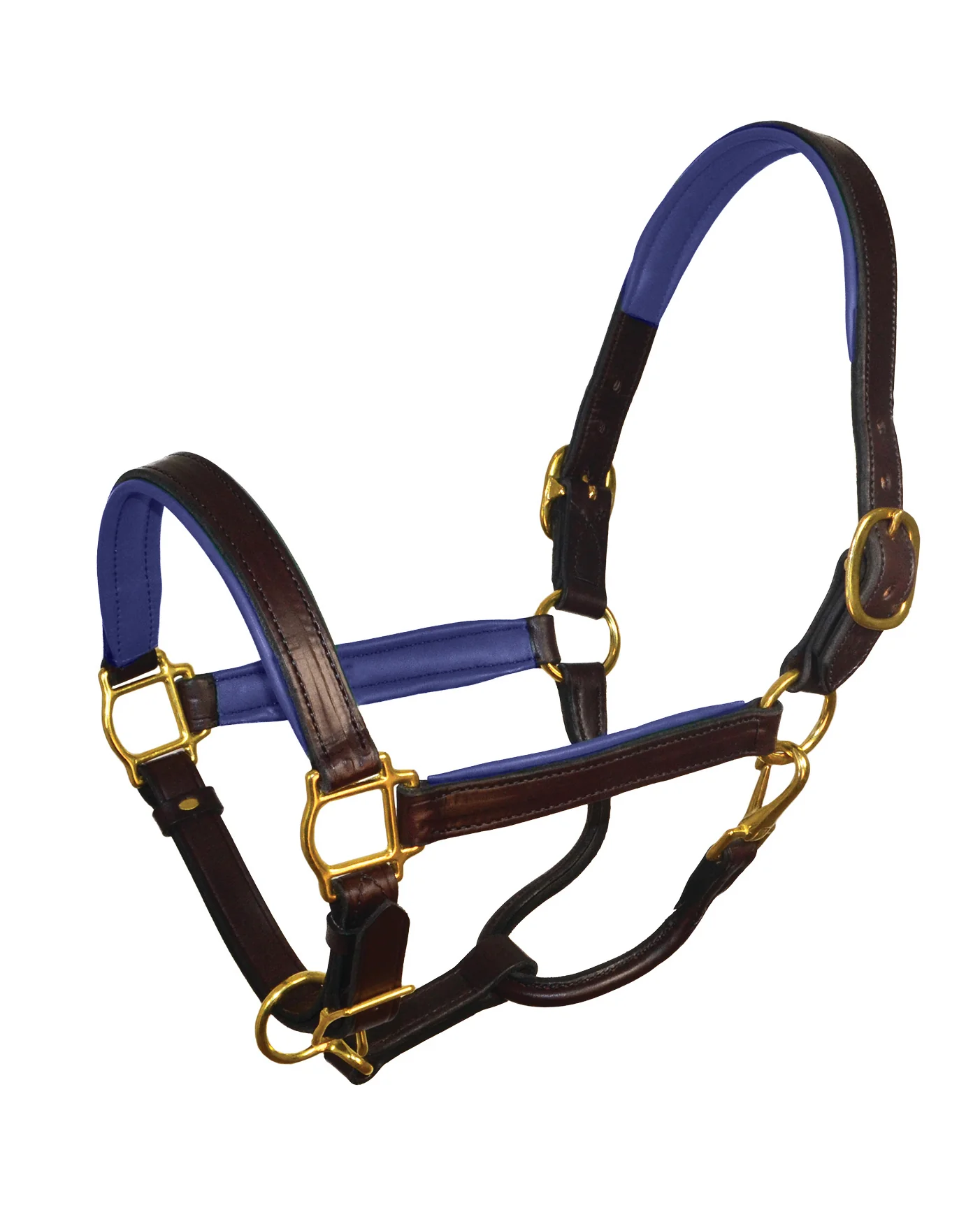 Perri’s® 1" Padded Leather Halter - Image 4