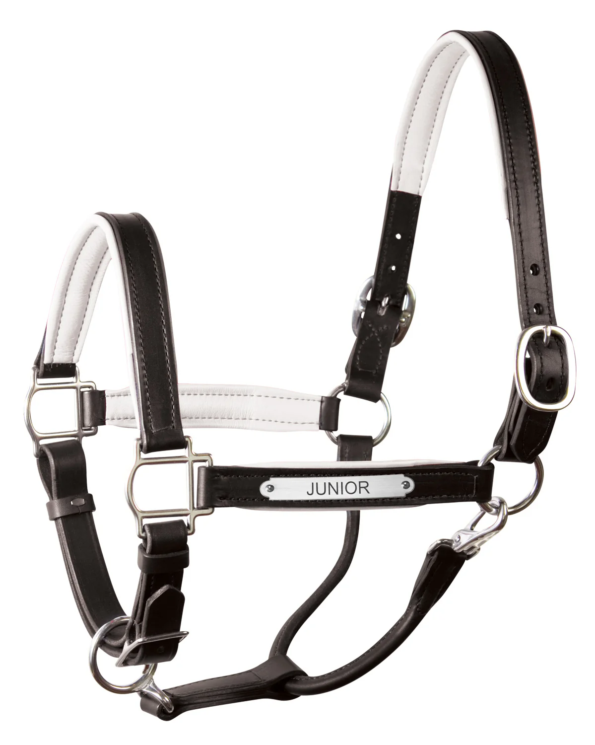 Perri’s® 1" Padded Leather Halter with Nameplate - Image 4