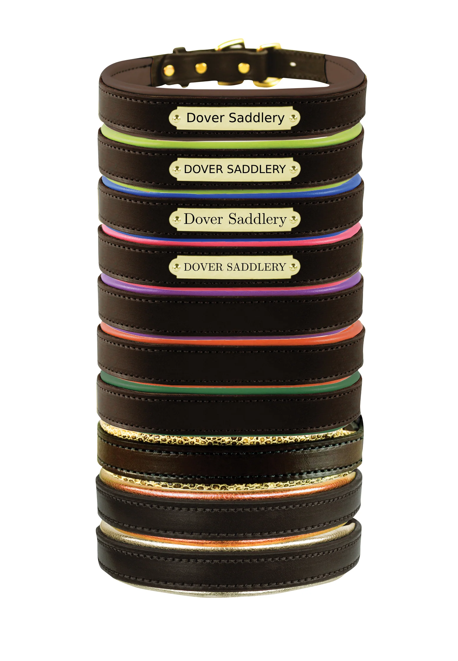 Perri’s® Padded Leather Nameplate Dog Collar - Image 16