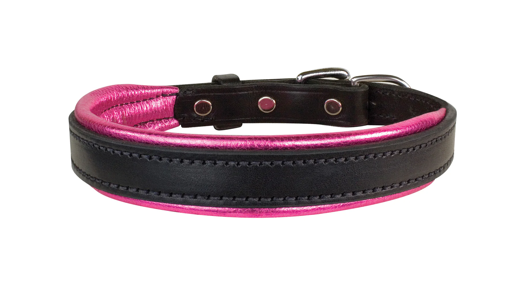 Perri’s® Padded Leather Nameplate Dog Collar - Image 8