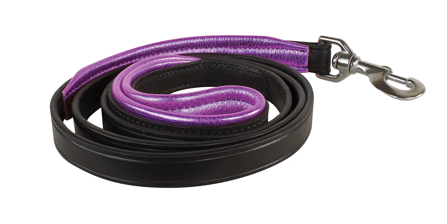 Perri’s® Padded Leather Nameplate Dog Leash - Image 12