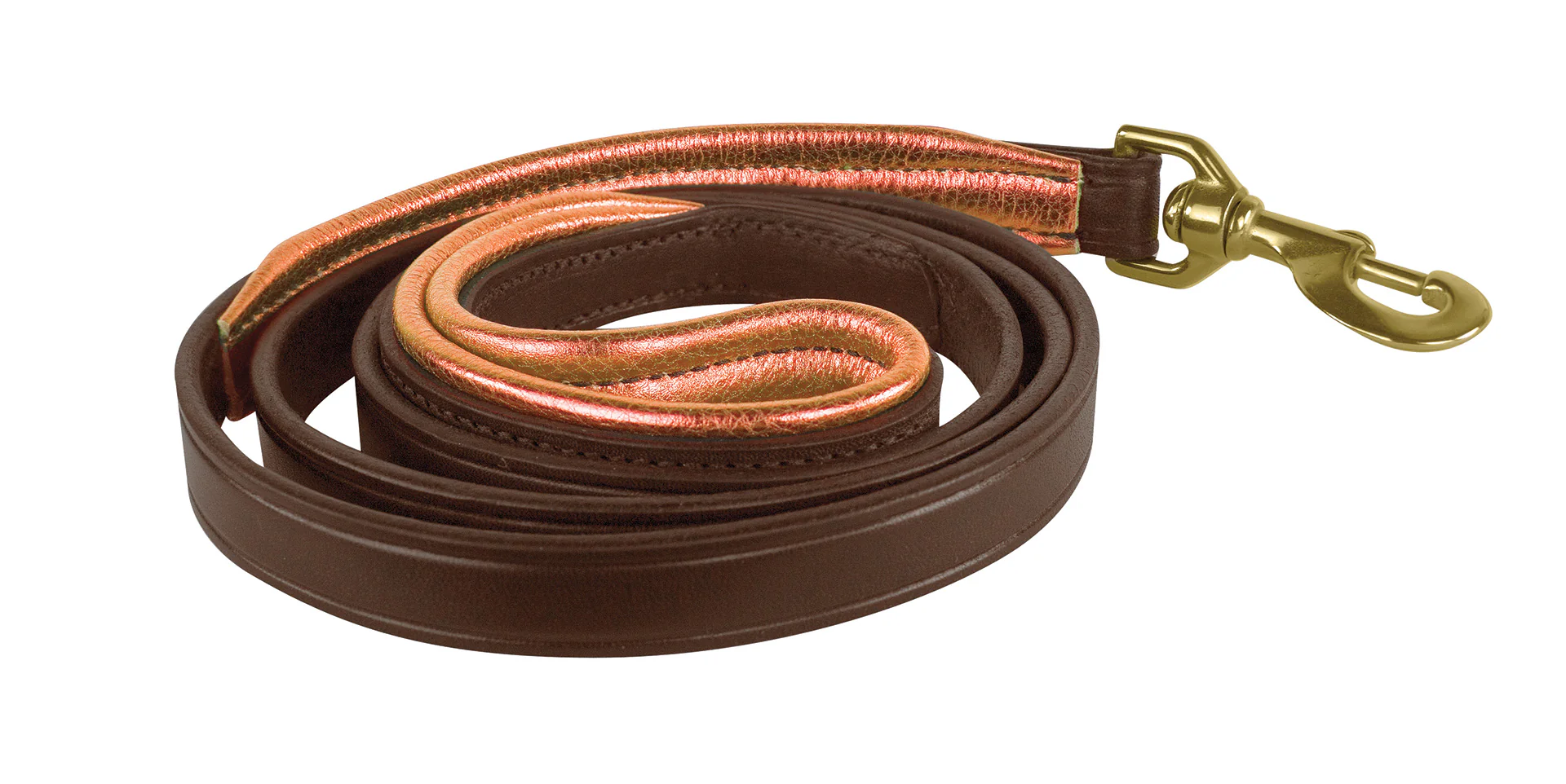 Perri’s® Padded Leather Nameplate Dog Leash - Image 18