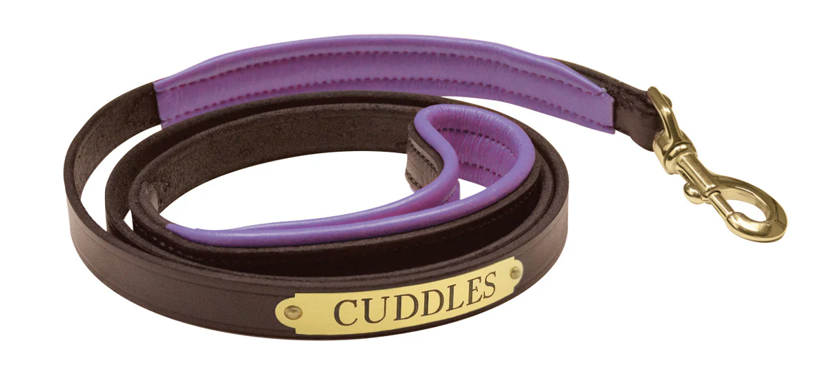 Perri’s® Padded Leather Nameplate Dog Leash - Image 20
