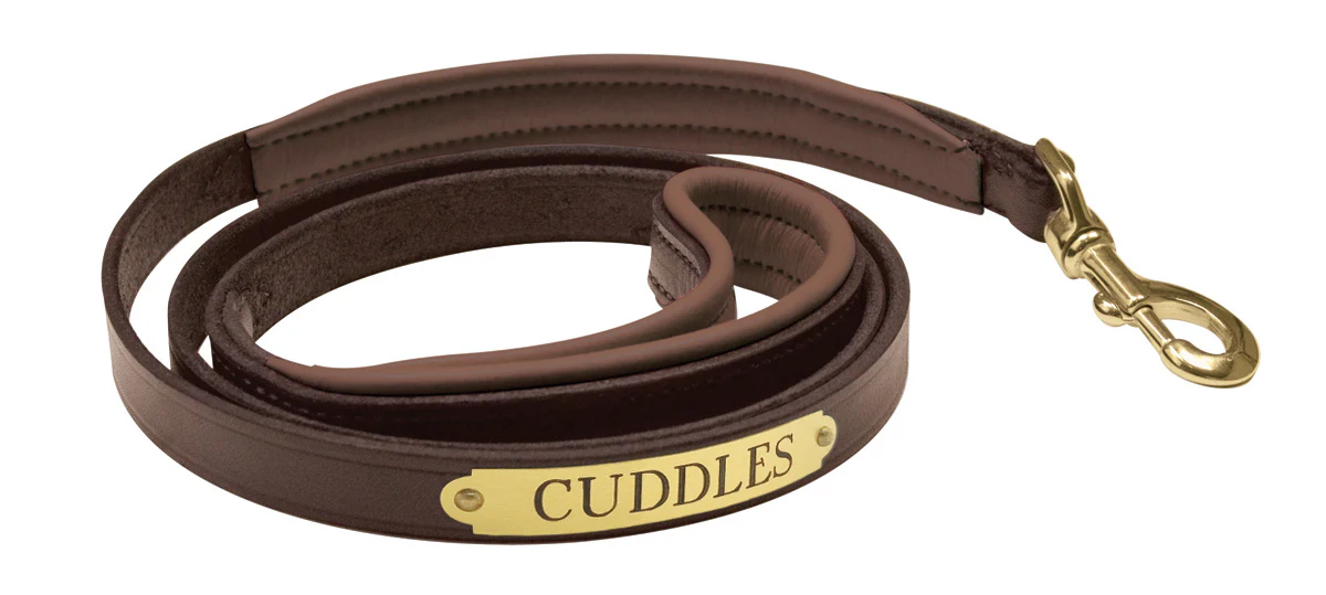 Perri’s® Padded Leather Nameplate Dog Leash - Image 22
