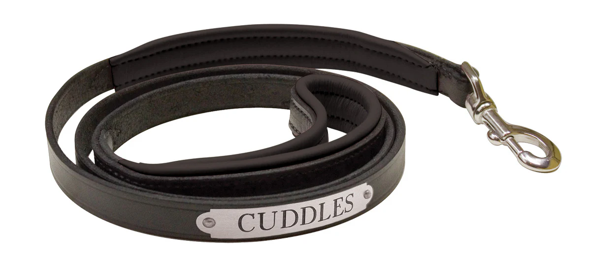 Perri’s® Padded Leather Nameplate Dog Leash - Image 24
