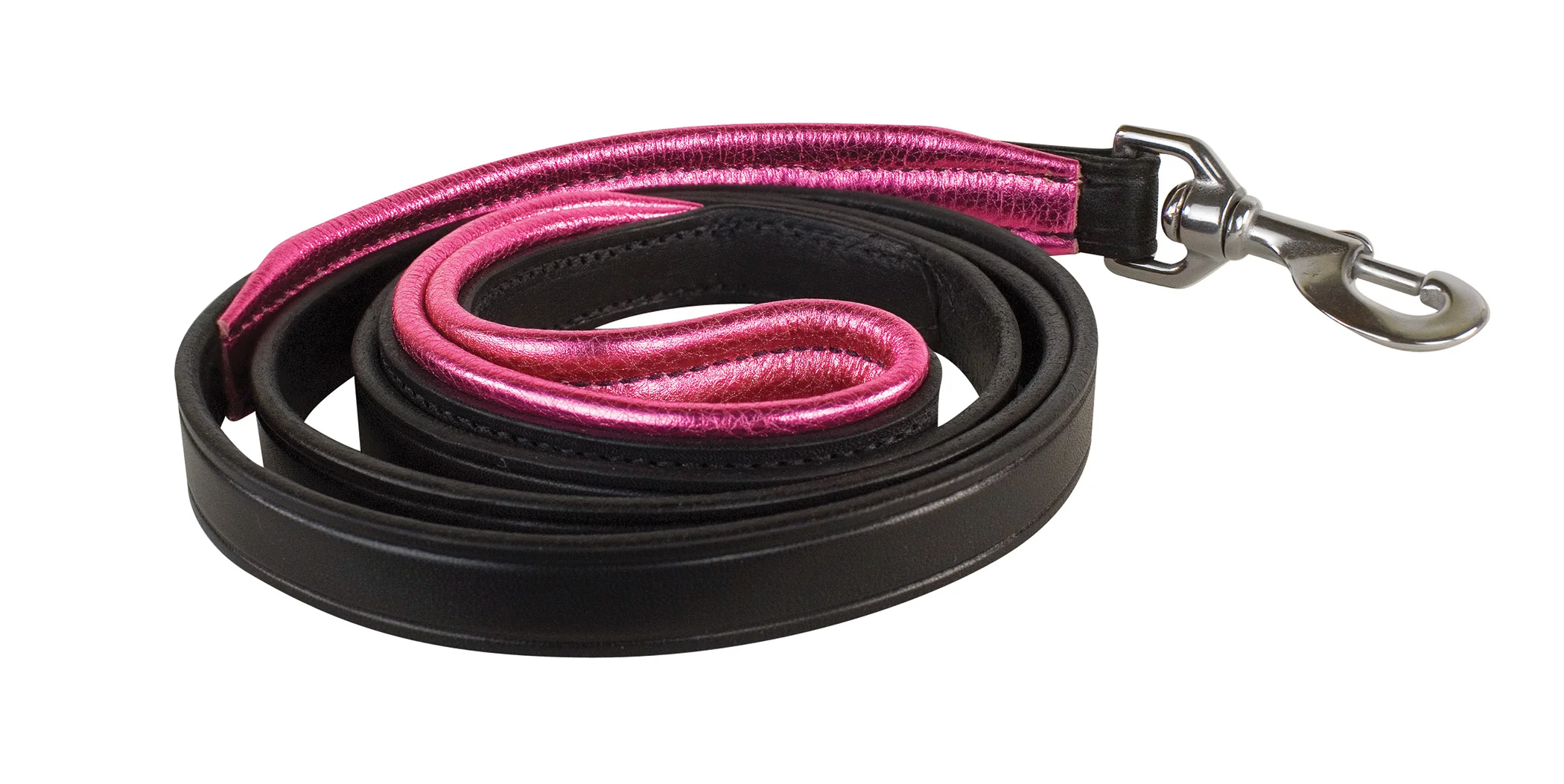 Perri’s® Padded Leather Nameplate Dog Leash - Image 6