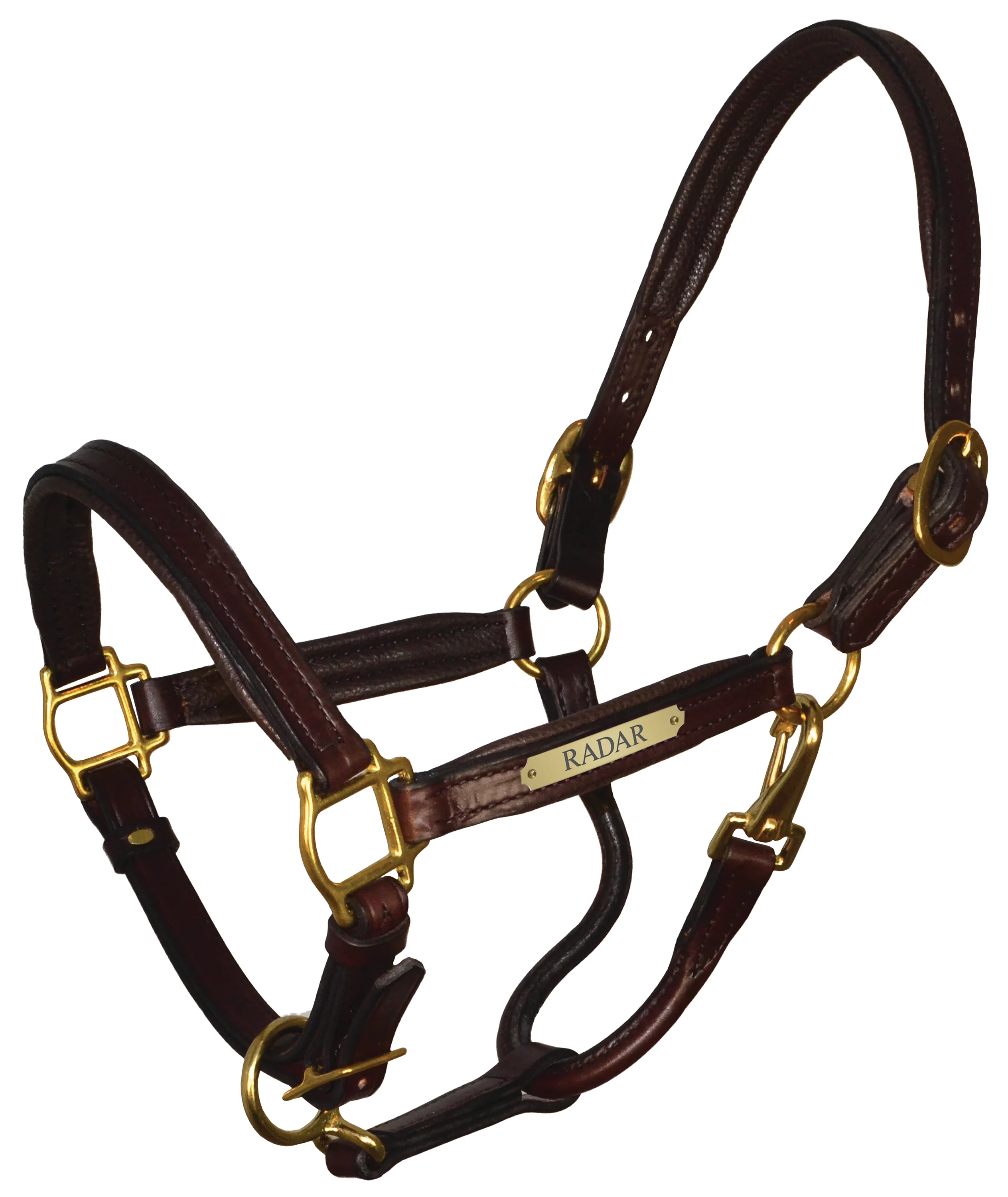 Perri’s® Padded Leather Pony Halter with Nameplate - Image 4