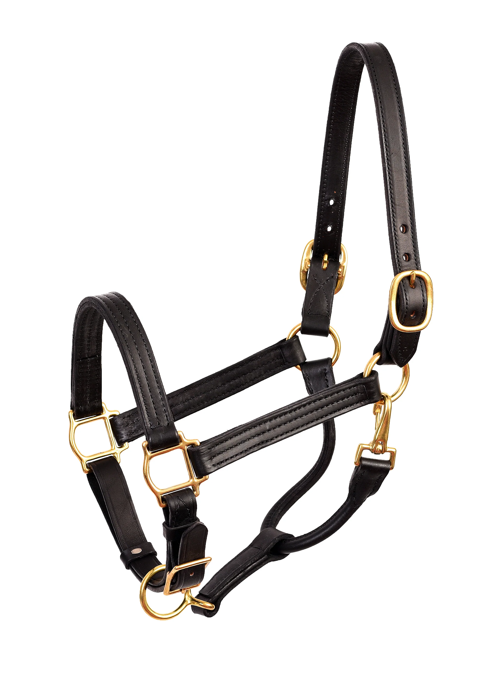 Perri’s® Premium Leather Show Halter - Image 5