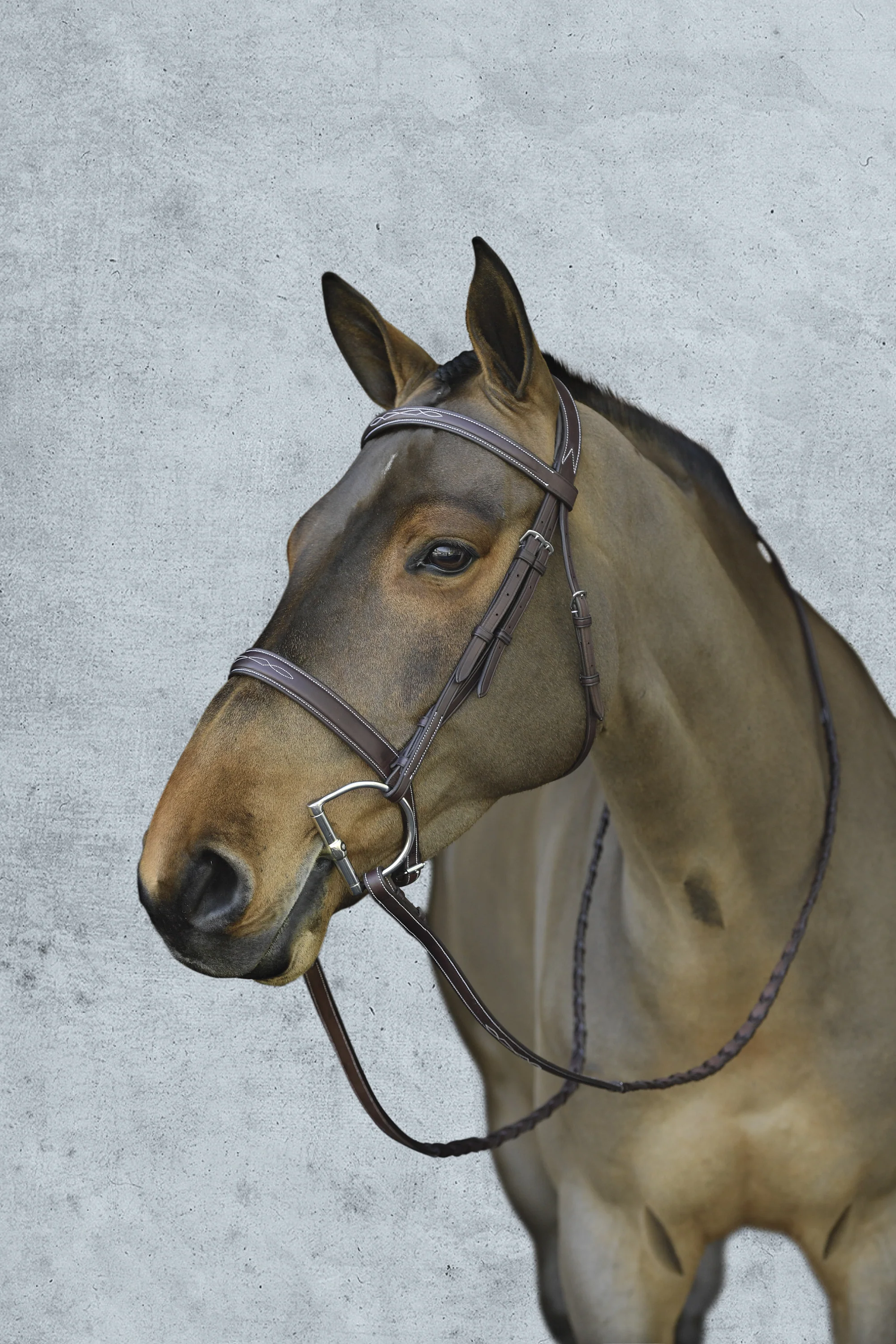 Pessoa® Pro Fancy-Stitched Wide Nose Bridle - Image 3