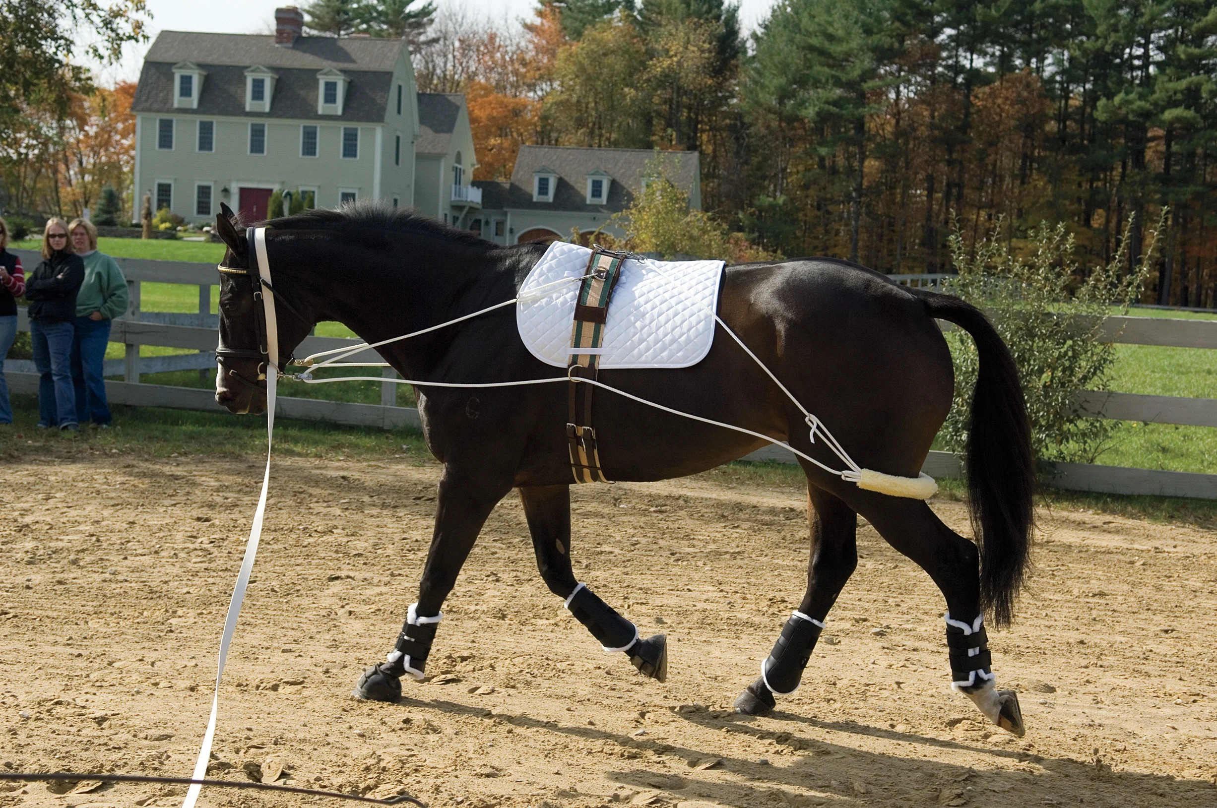 Pessoa® Training System