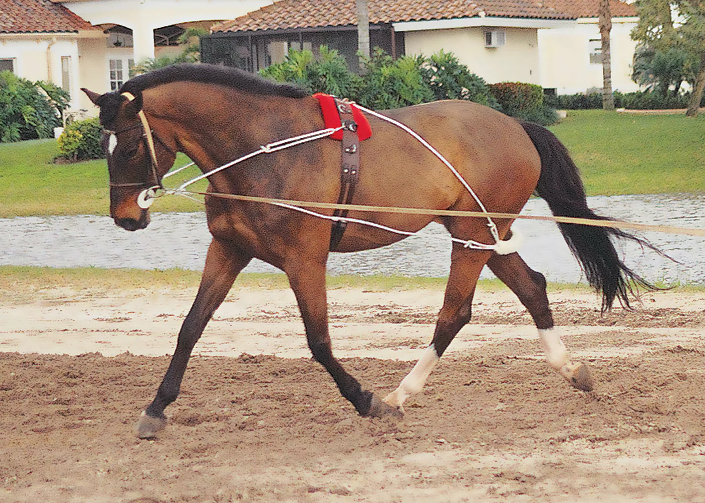 Pessoa® Training System - Image 2