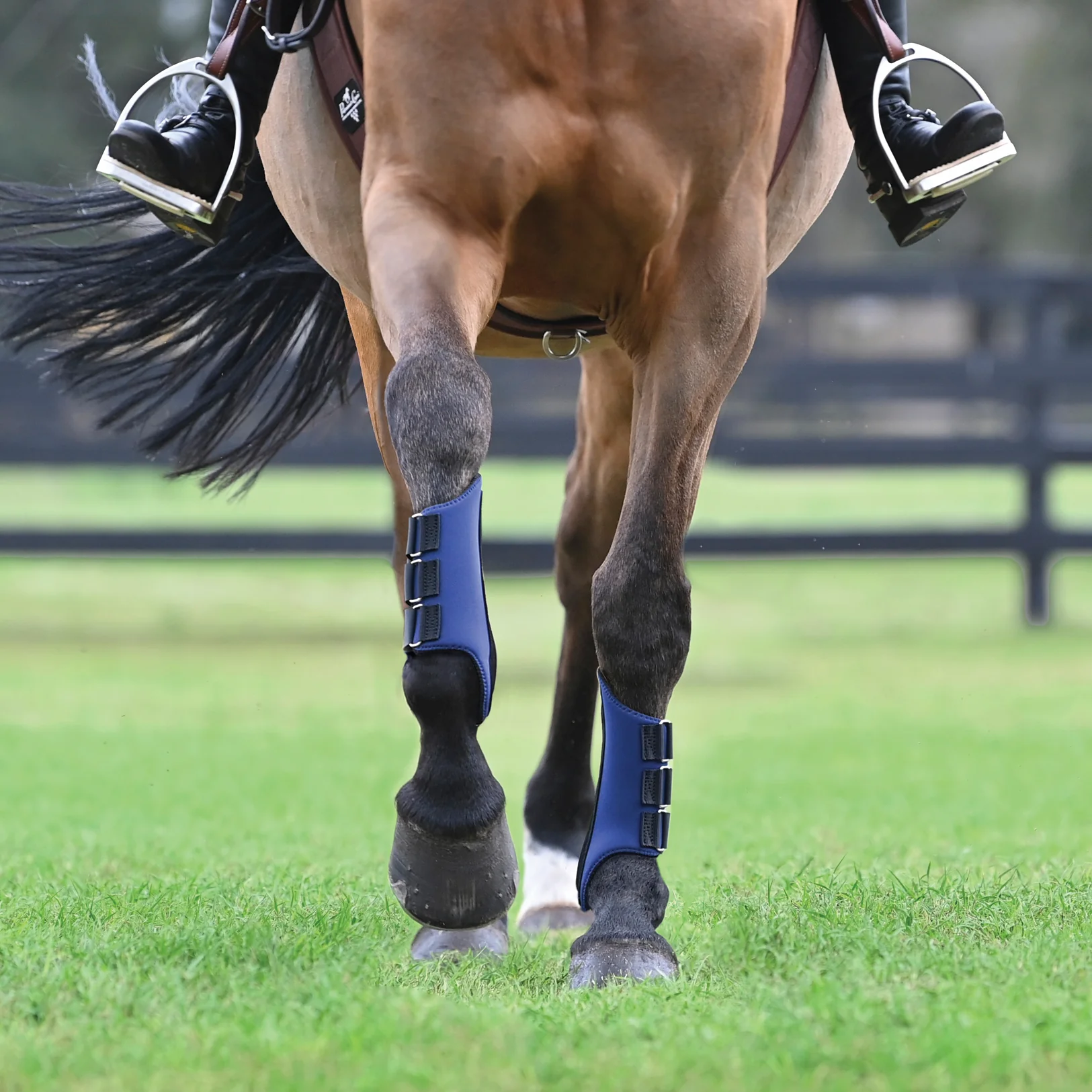 Rider’s International™ All-Purpose Galloping Boots - Image 3