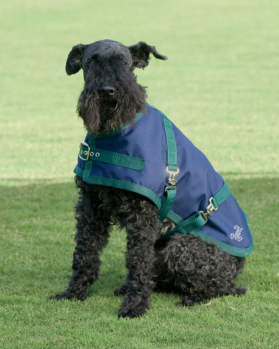 Rider’s International™ Dog Turnout Sheet - Image 8