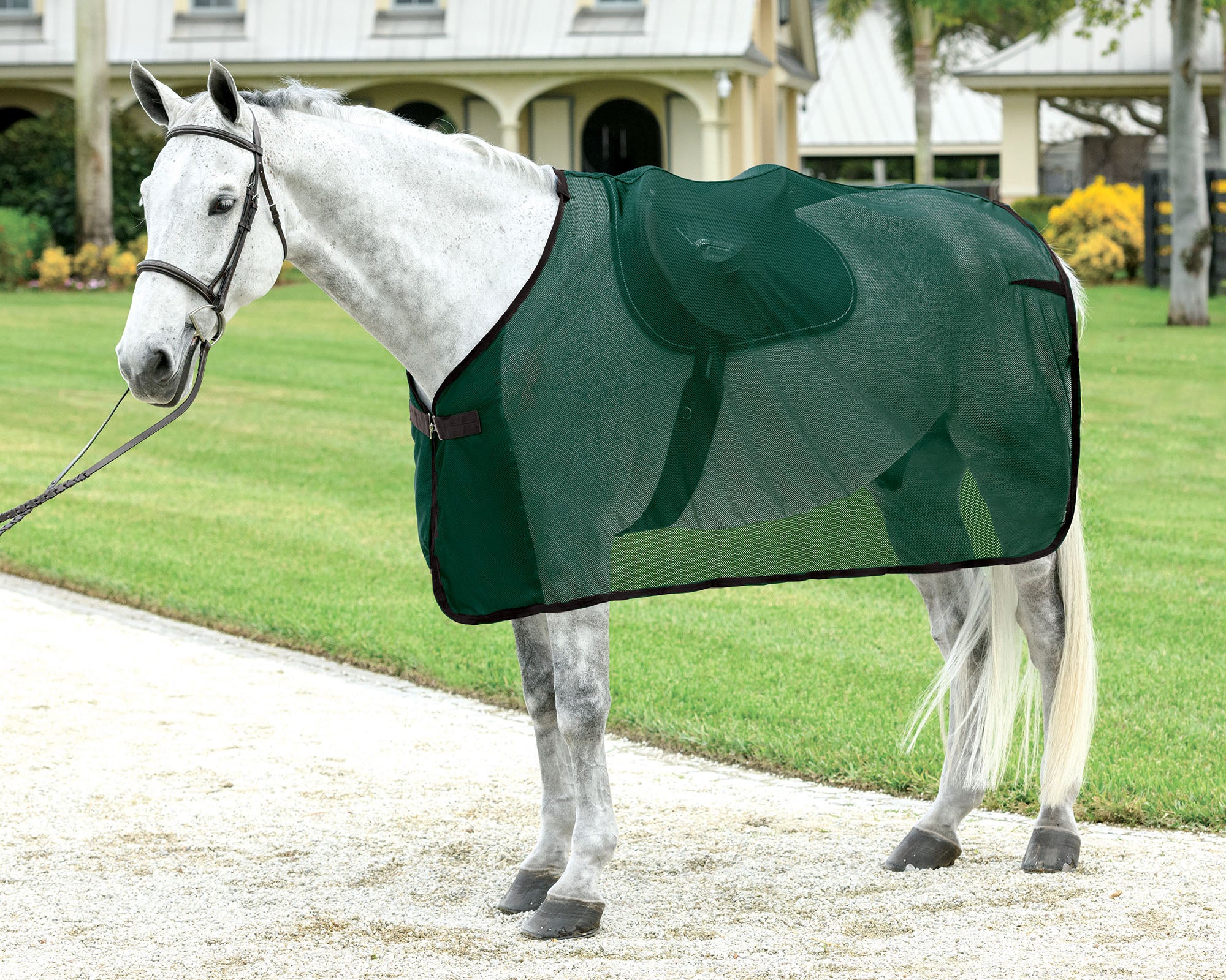 Rider’s International™ Ringside Scrim Sheet - Image 4