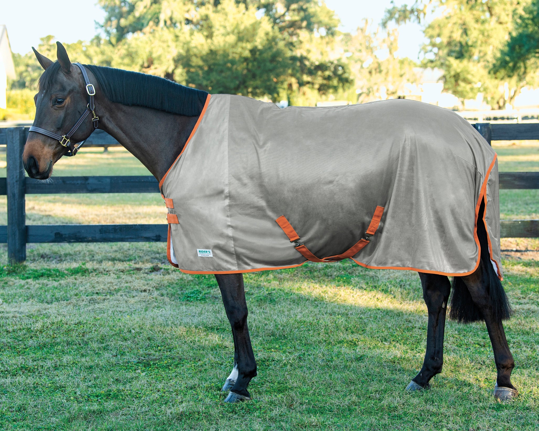 Rider’s International™ Fly Sheet - Image 3
