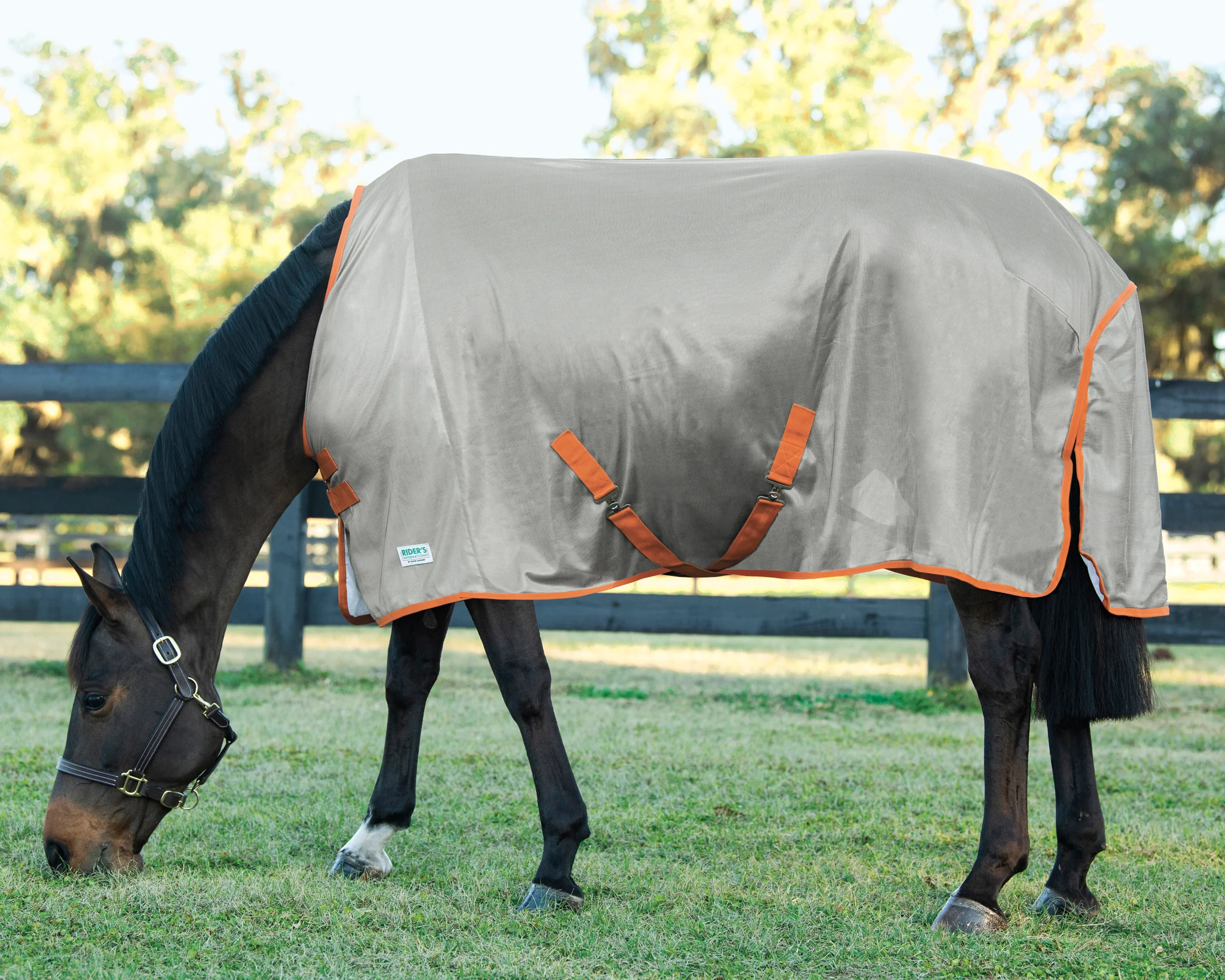 Rider’s International™ Fly Sheet - Image 4