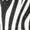 Riders International™ Safari Fly Sheet - Image 8
