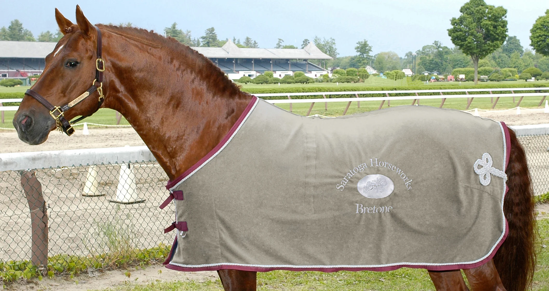 Saratoga Custom Diamond Knit Dress Sheet - Image 2
