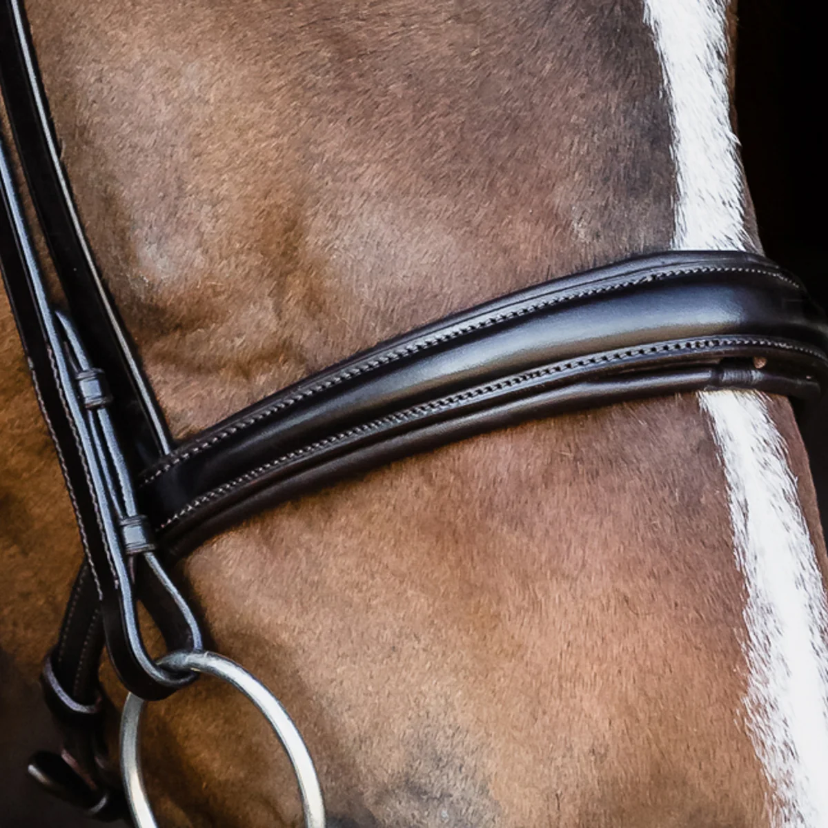 Schockemöhle Monza Bridle - Image 3