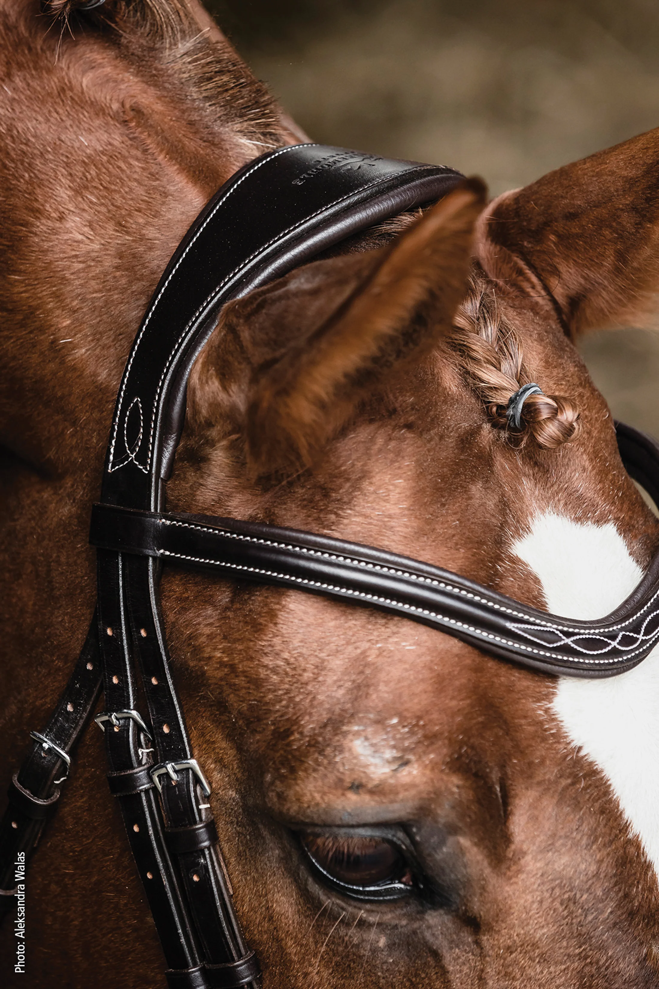Schockemöhle Monza Fancy Stitched Bridle - Image 4