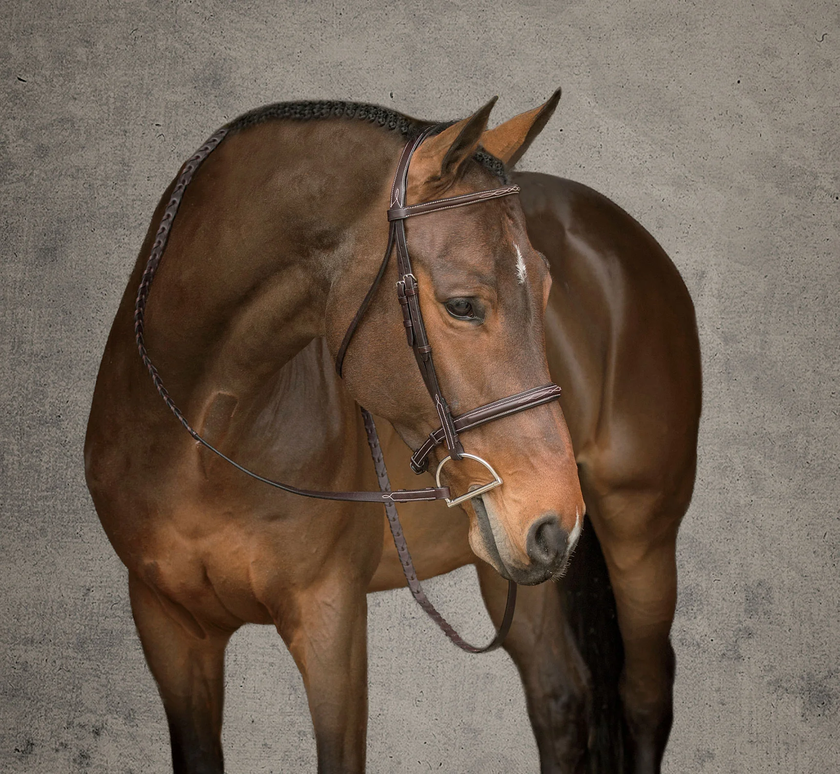 Showmark® Premier Hunter Bridle - Image 3