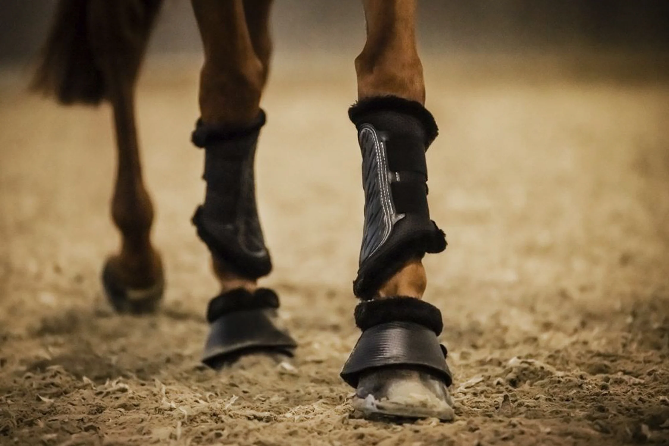 Stübben Airflow Fleece-Lined Brushing Boots - Image 6