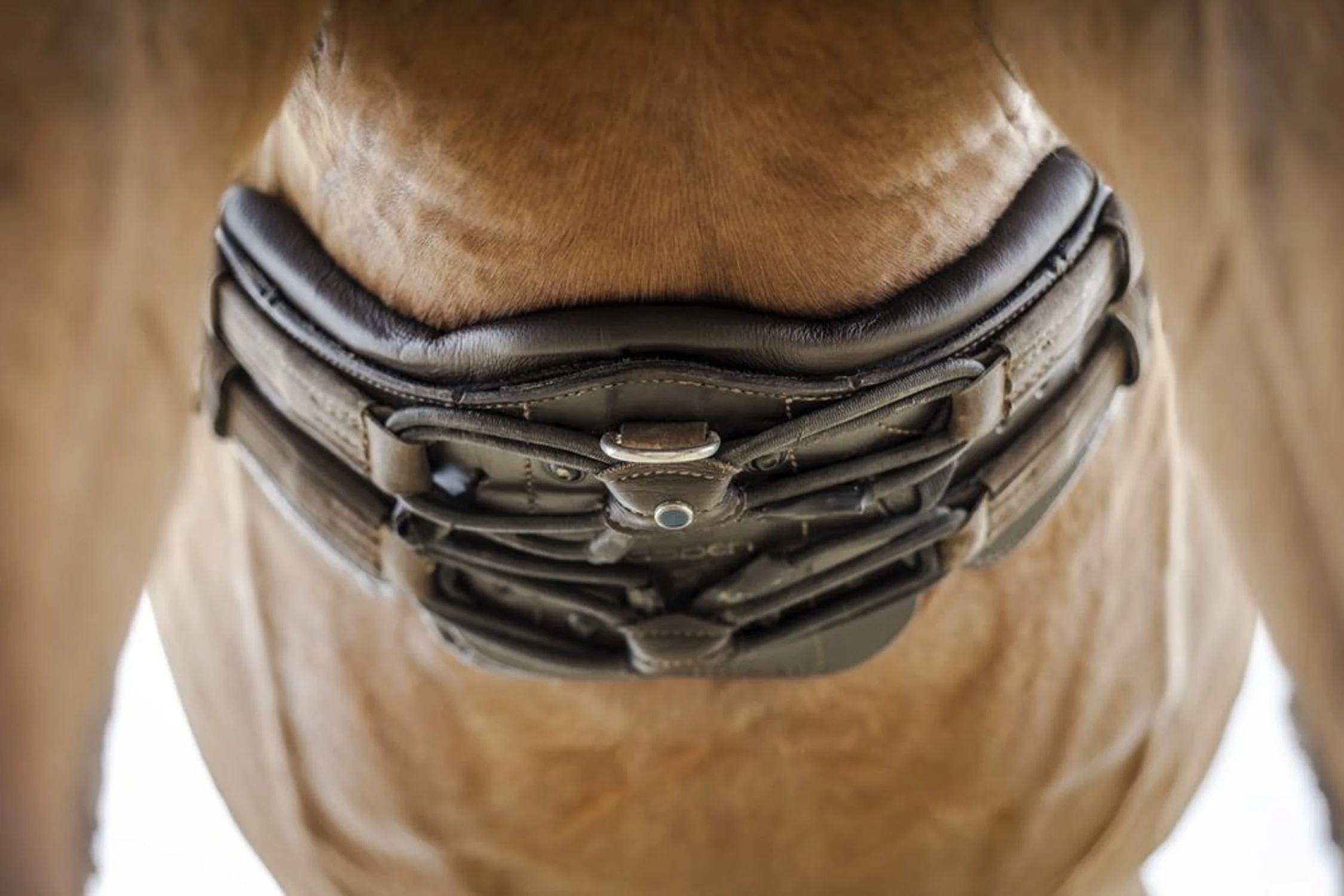 Stübben Equi-Soft® Girth - Image 4
