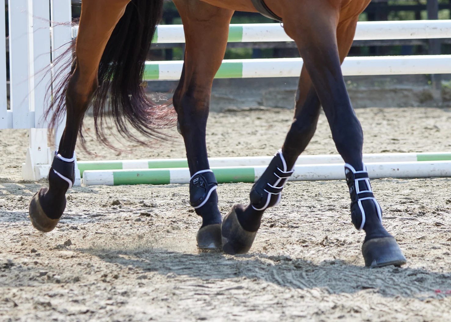 Stride™ Open-Front Tendon Boots - Image 4