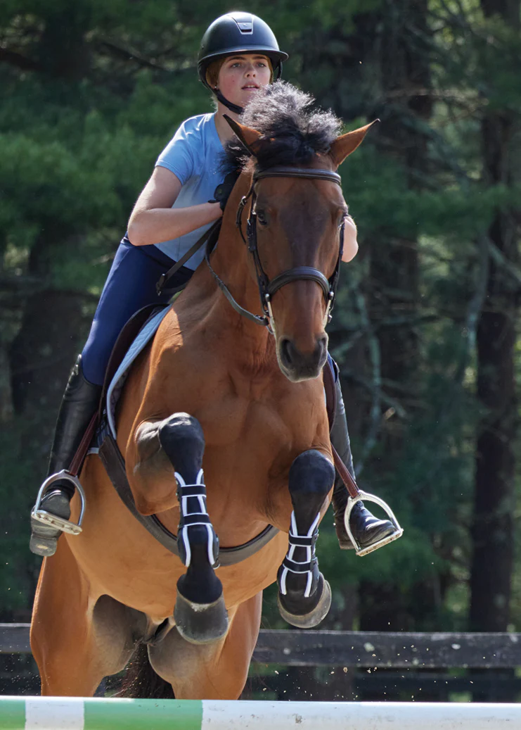 Stride™ Open-Front Tendon Boots - Image 6