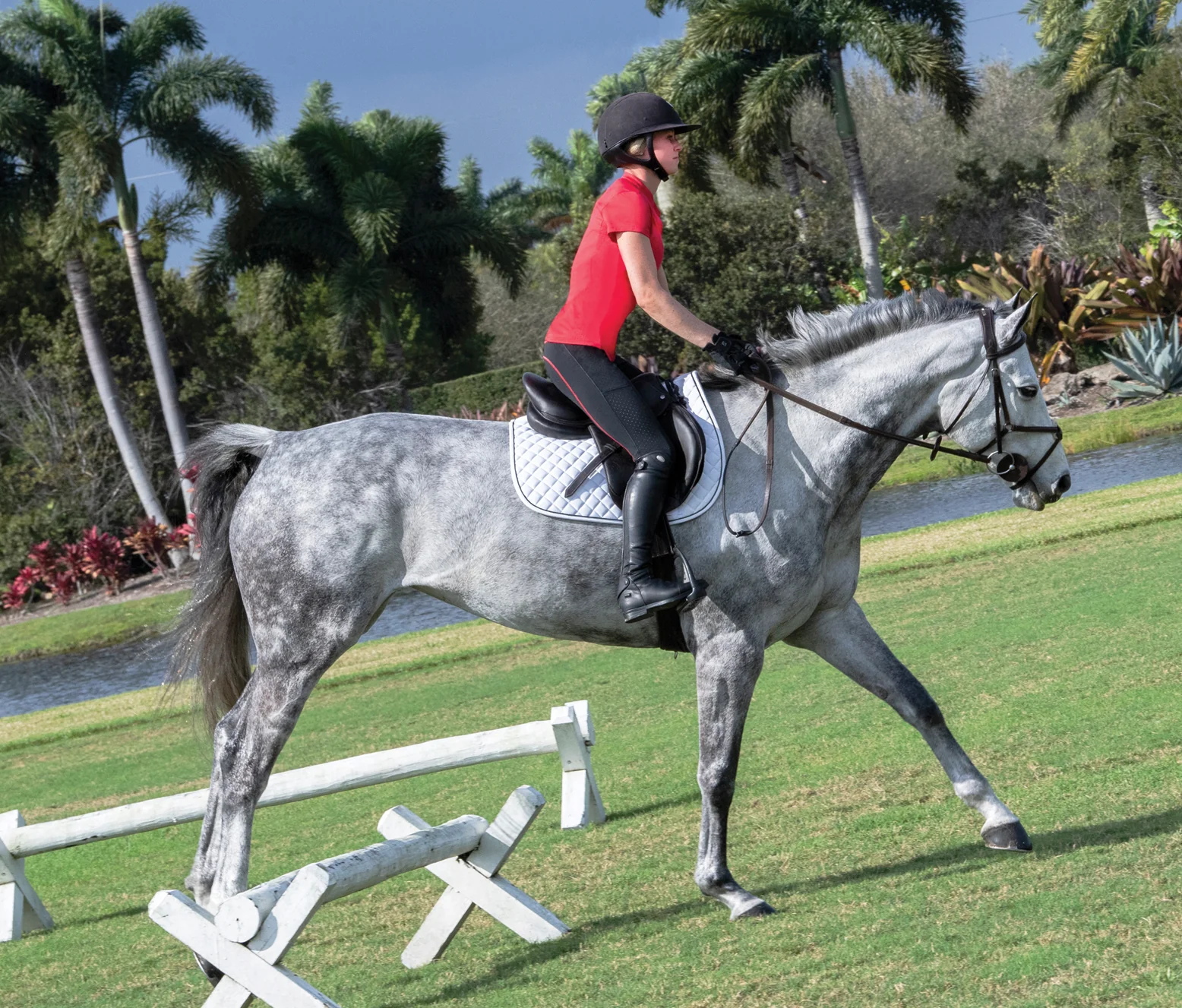 Stride™ Ladies’ Performance Full-Seat Tight - Image 4
