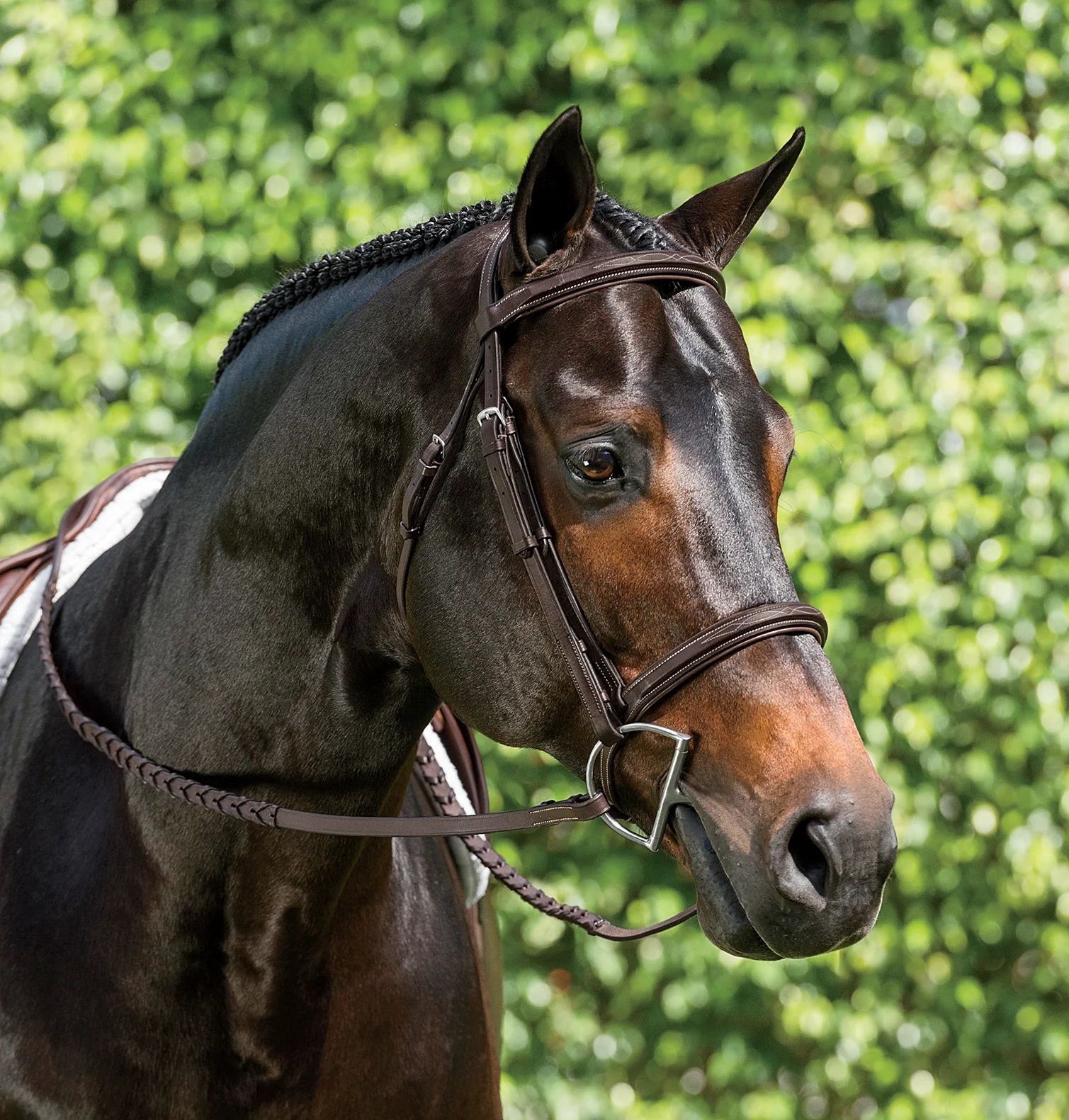 Suffolk™ Single Crown Hunter Bridle - Image 3