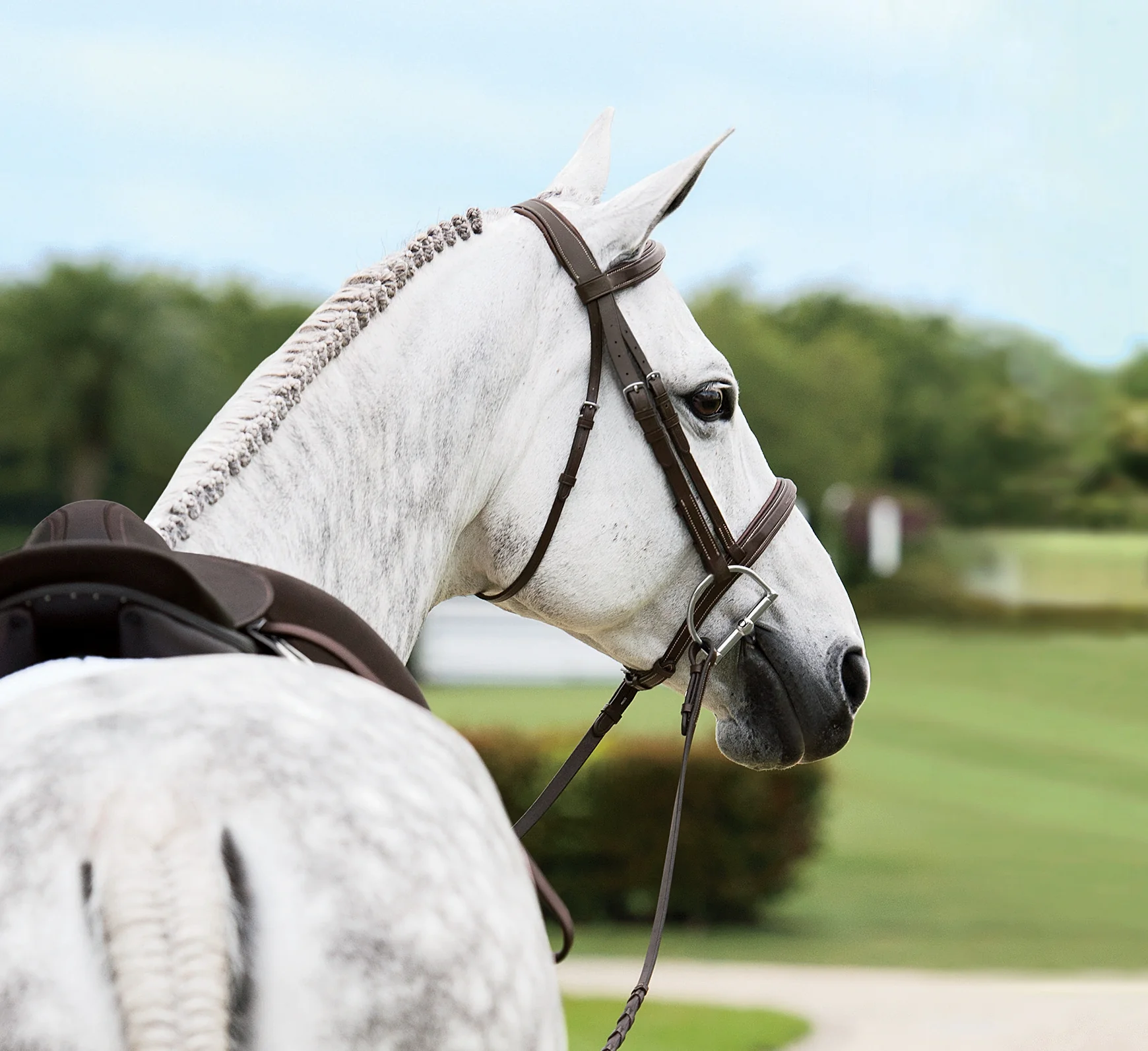 Suffolk™ Single Crown Hunter Bridle - Image 4