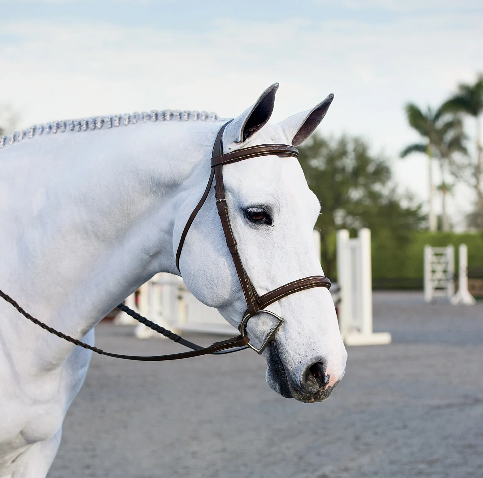 Suffolk™ Single Crown Hunter Bridle - Image 5