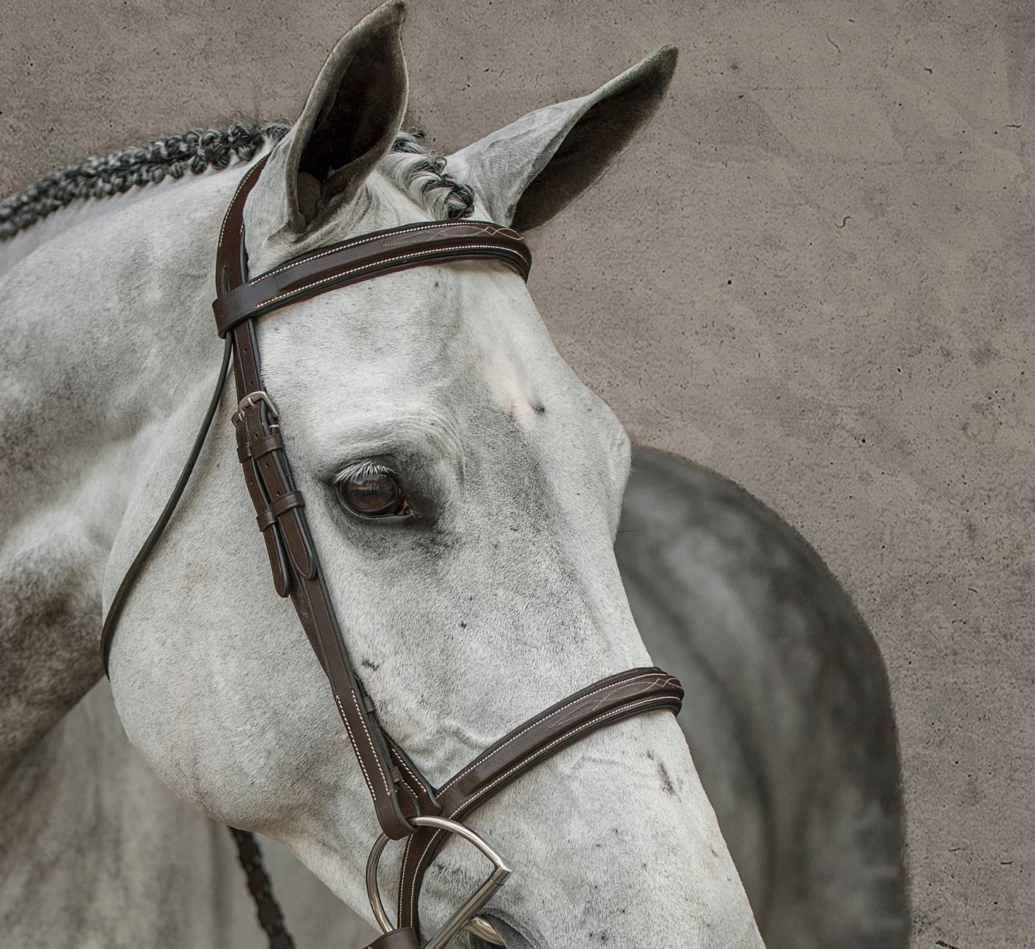 Suffolk™ Single Crown Hunter Bridle - Image 6