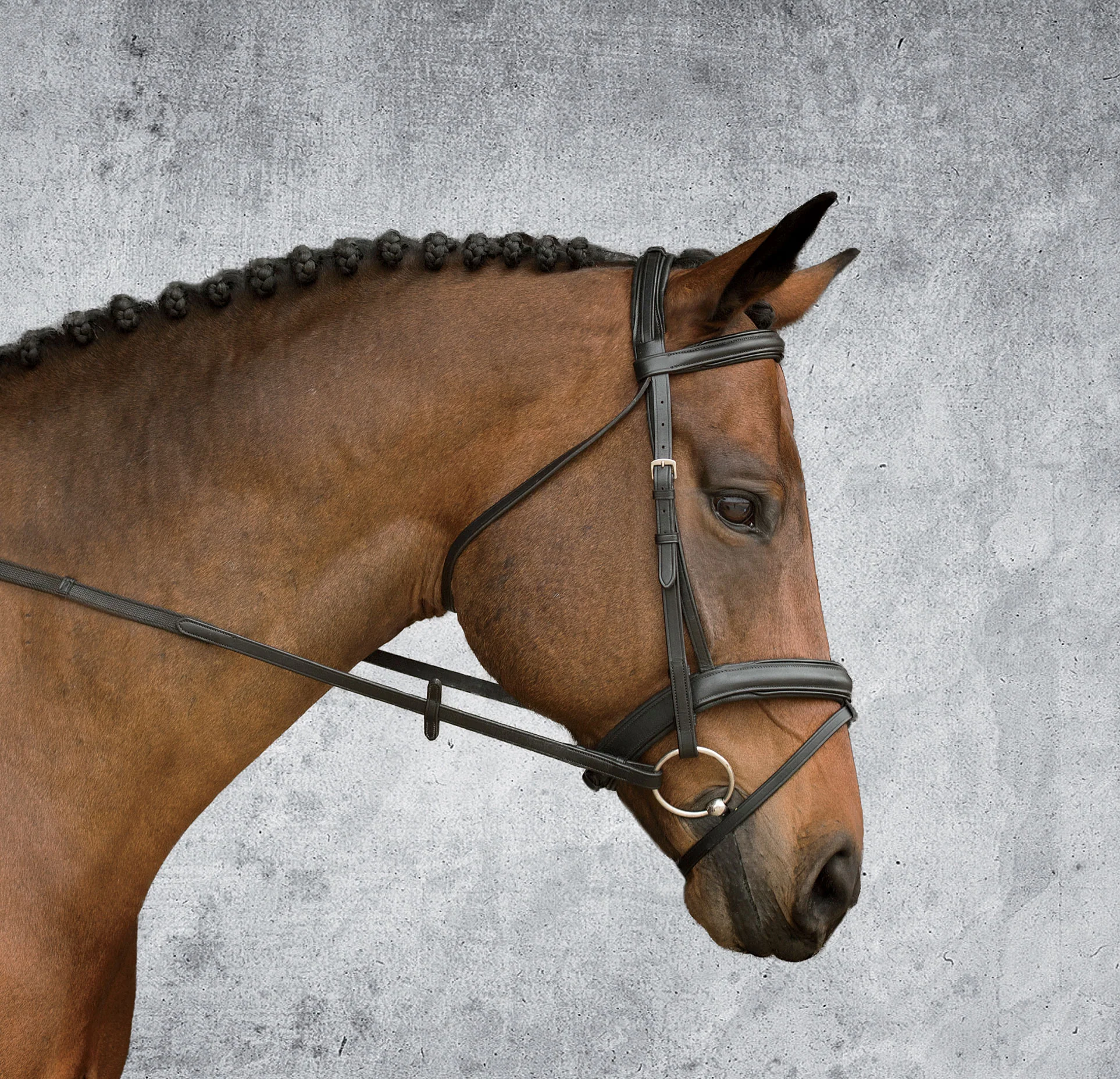 Suffolk™ Single Crown Padded Dressage Bridle