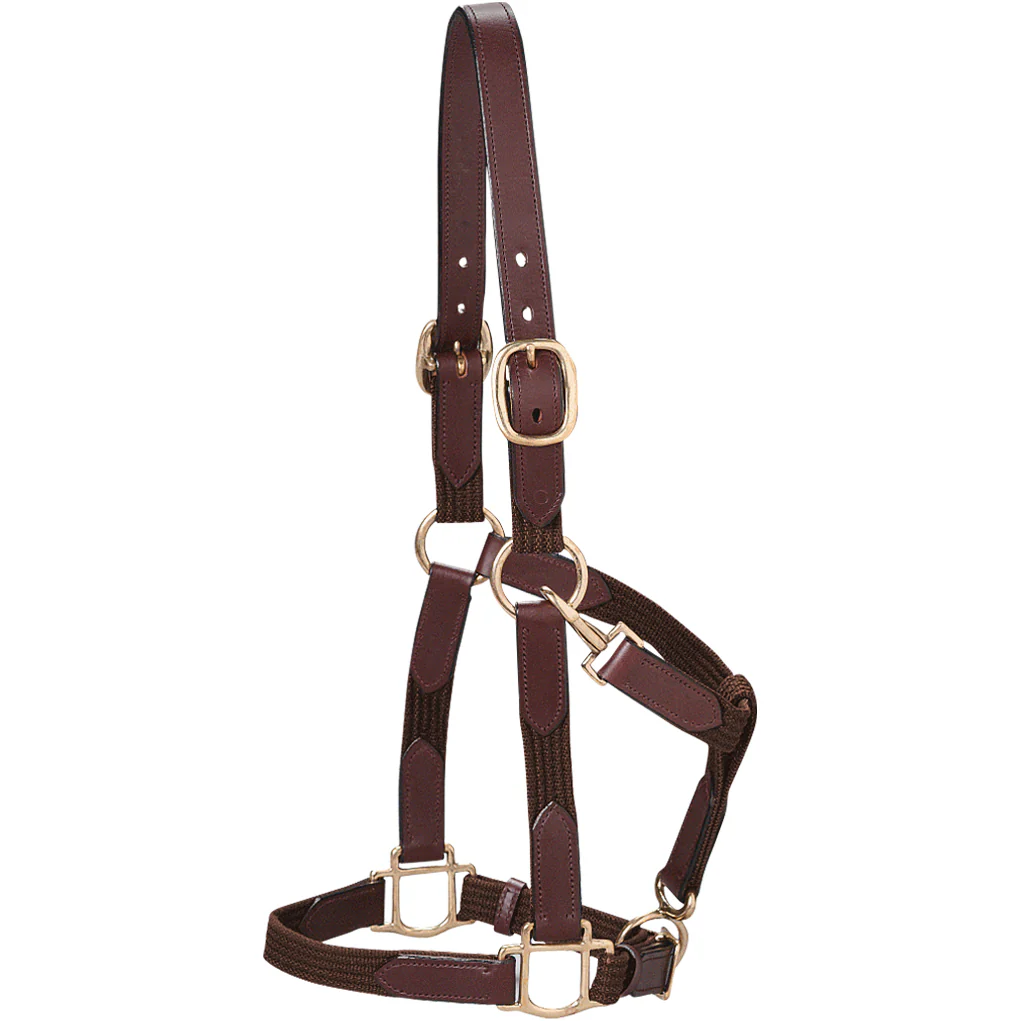 Suffolk™ Web Halter - Image 5