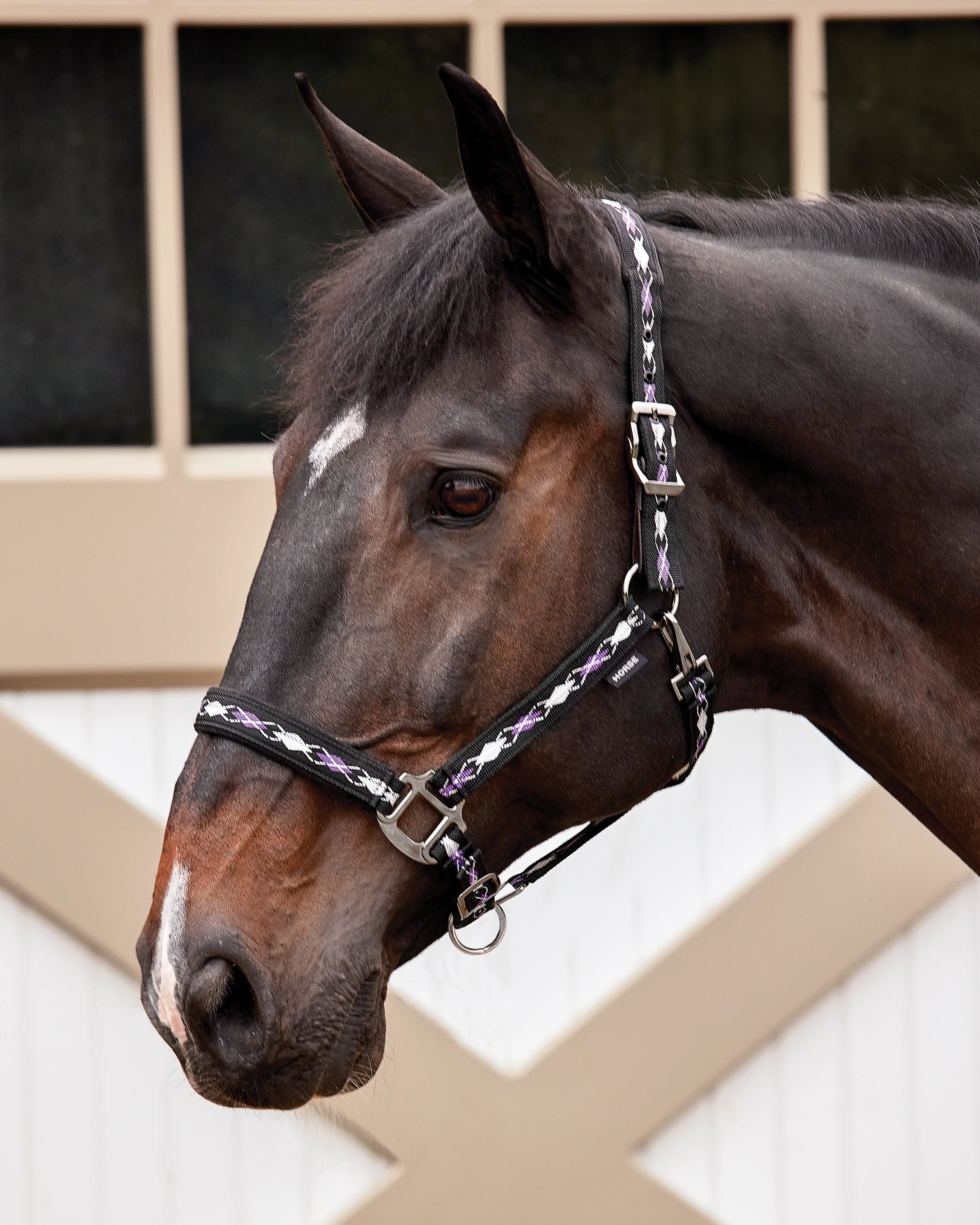 Suffolk™ Woven Argyle Breakaway Halter - Image 13