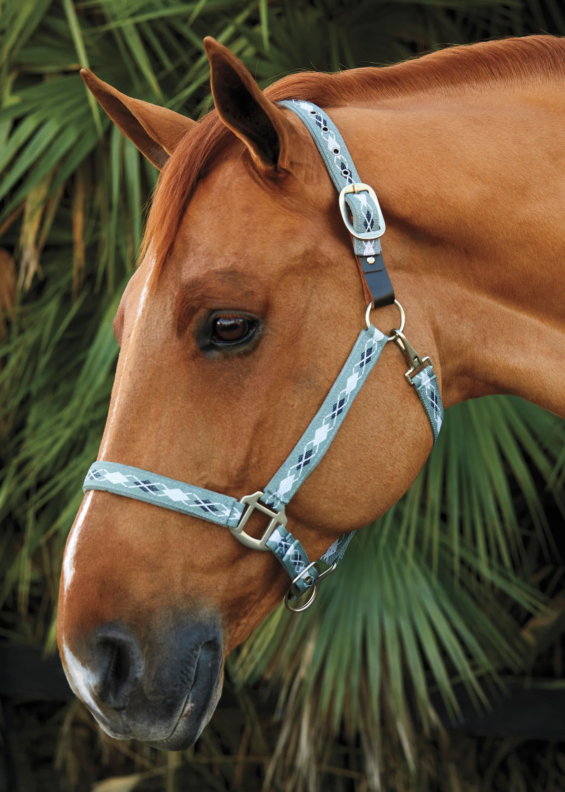 Suffolk™ Woven Argyle Breakaway Halter - Image 4