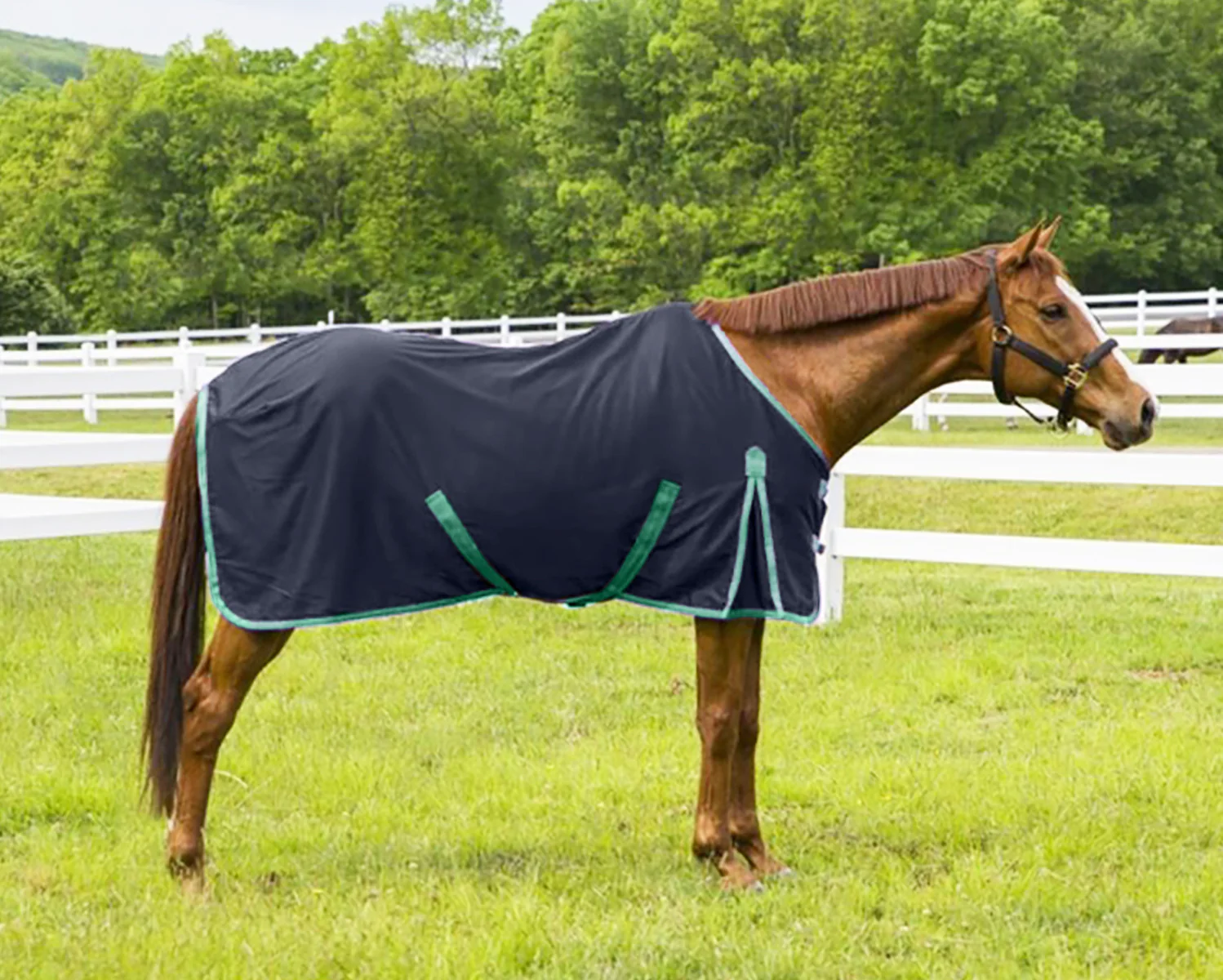 TuffRider® Kozy Komfort Stable Sheet - Image 2