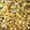Twinkle® Ultra Fine Horse Glitter - Image 3
