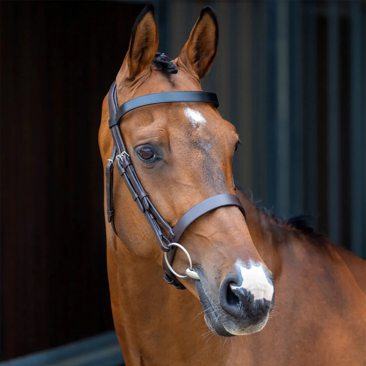 Velociti Lusso Hunter Caveson Bridle - Image 2