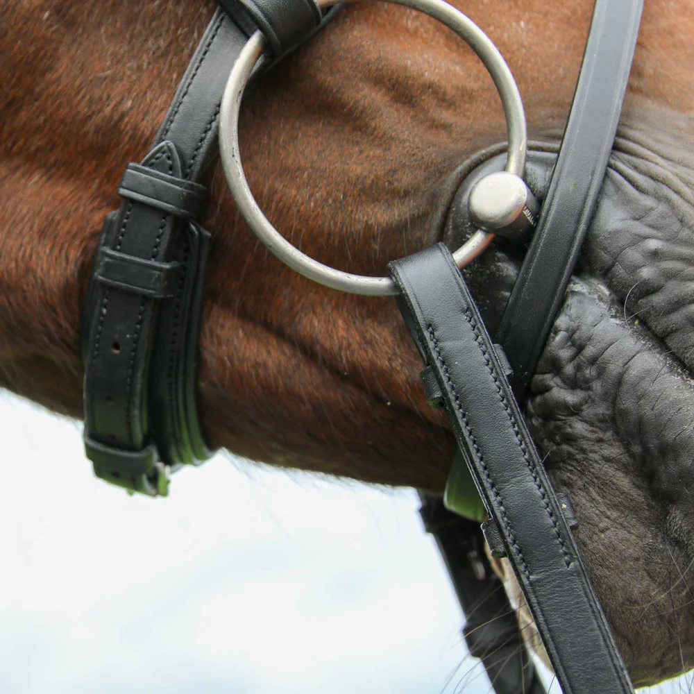 Vespucci Classic Dressage Bridle - Image 2